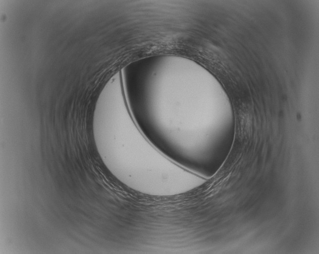 X0000069391250200605120934