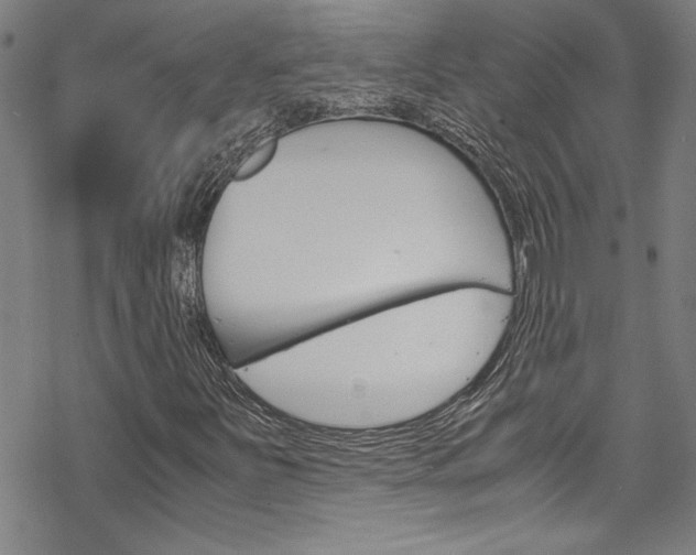 X0000069391251200605120934