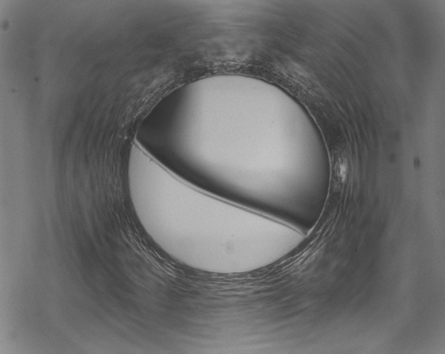 X0000069391252200605120934