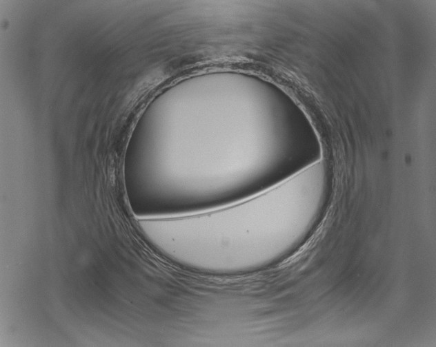 X0000069391257200605120934