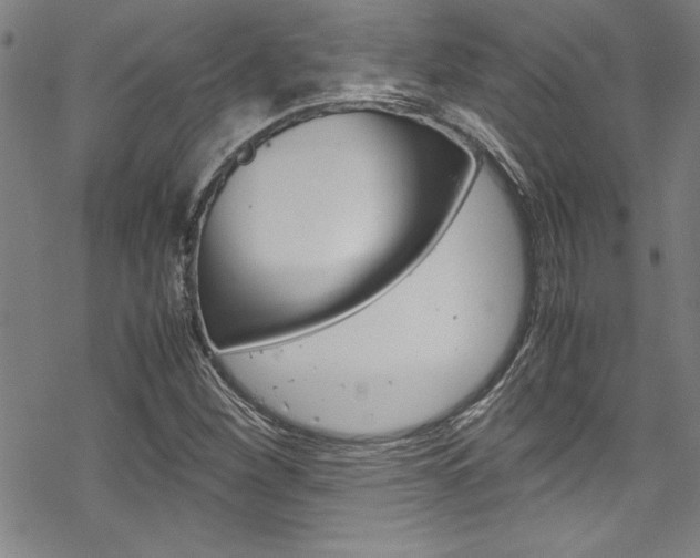 X0000069391260200605120934