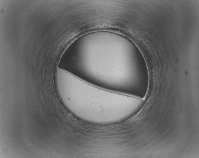 X0000069391265200605120934