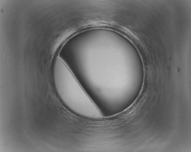 X0000069391269200605120934