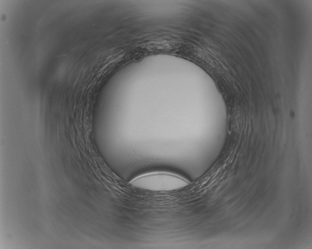 X0000069391297200605120933