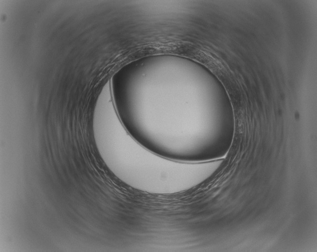 X0000069391298200605120933