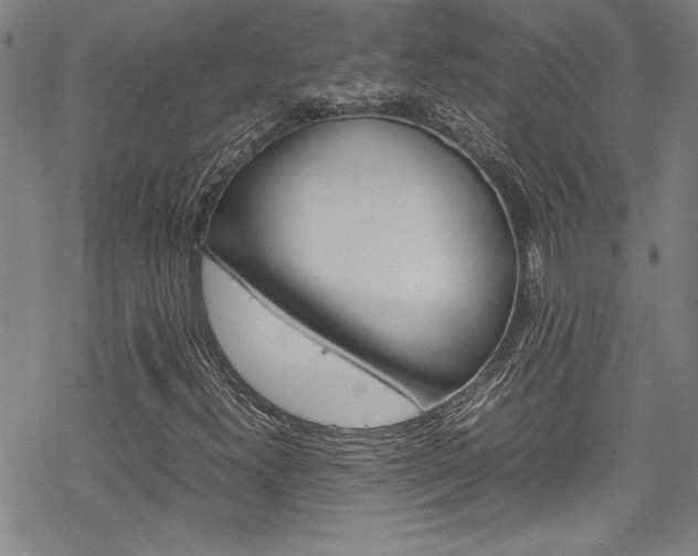 X0000069391300200605120933