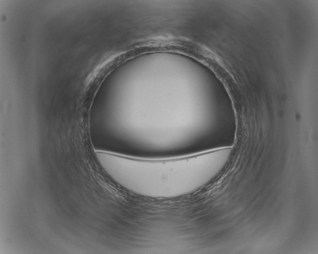 X0000069391304200605120933