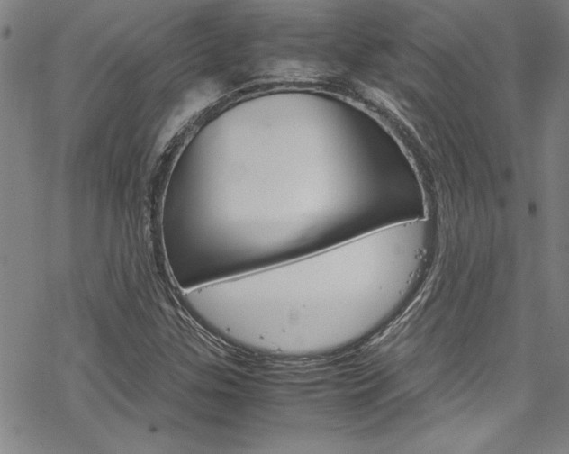 X0000069391307200605120933