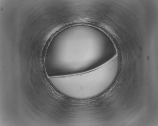 X0000069391308200605120933