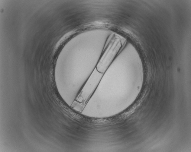X0000069391314200605120933