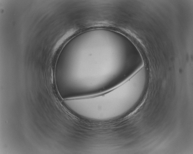 X0000069391317200605120933