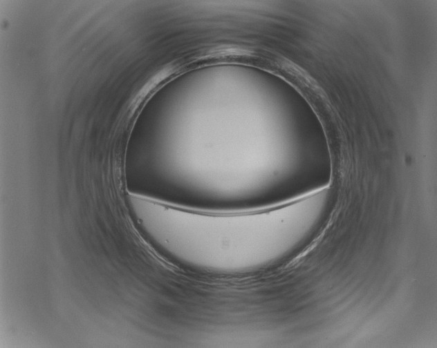 X0000069391321200605120933