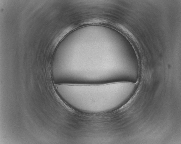 X0000069391329200605120933