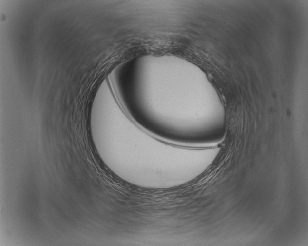 X0000069391345200605120933