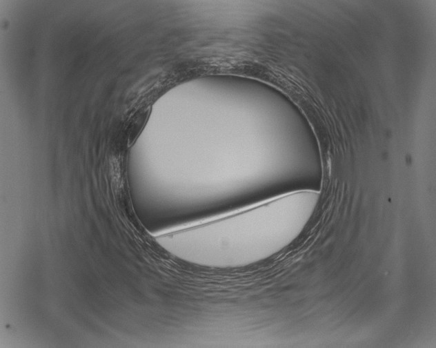 X0000069391347200605120933