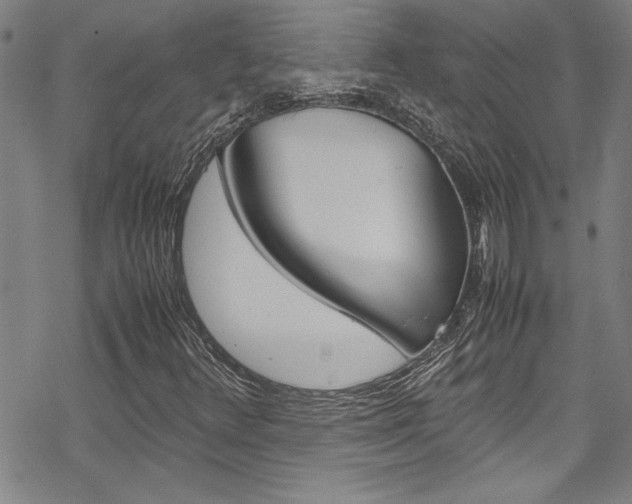 X0000069391348200605120933