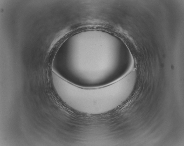 X0000069391352200605120933