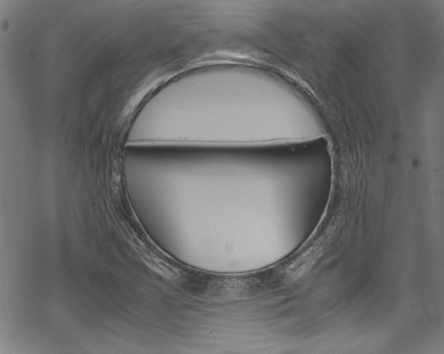 X0000069391355200605120933