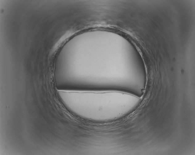 X0000069391359200605120933