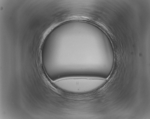 X0000069391371200605120932