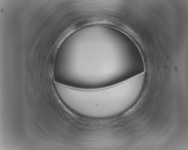 X0000069391377200605120932