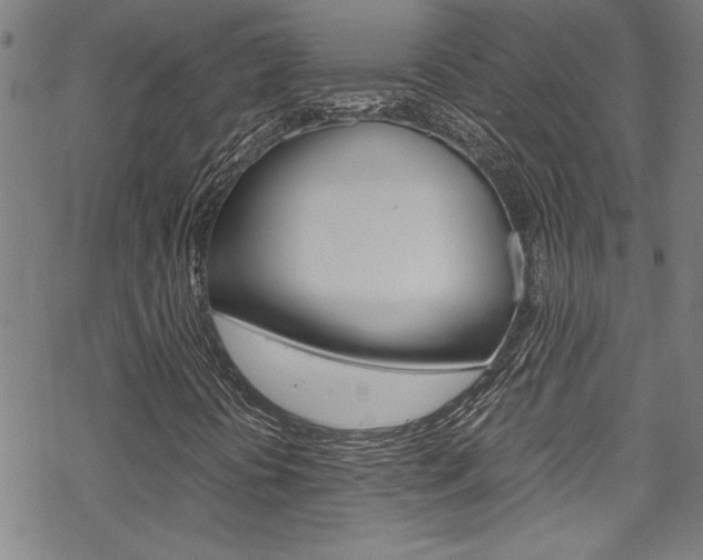 X0000069391394200605120931