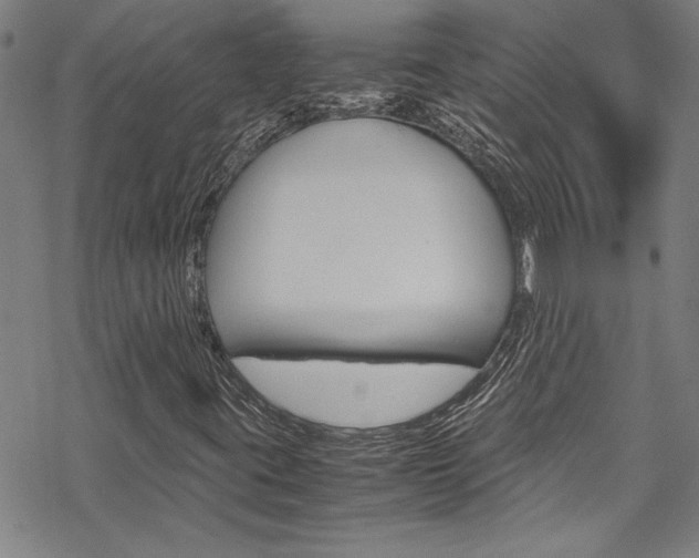 X0000069391395200605120931