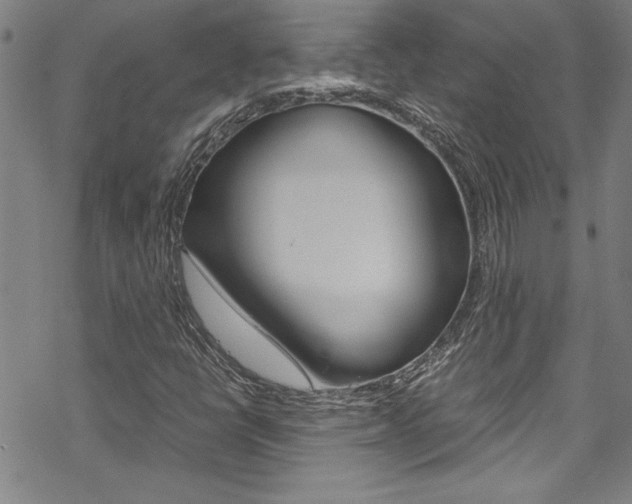 X0000069391398200605120931