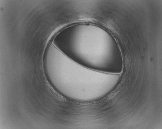 X0000069391412200605120932
