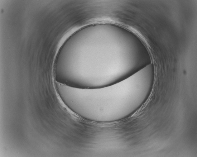 X0000069391440200605120932
