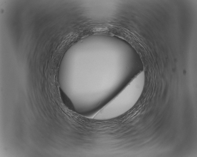 X0000069391441200605120931