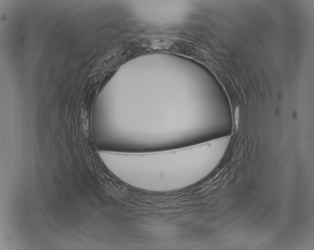 X0000069391443200605120931