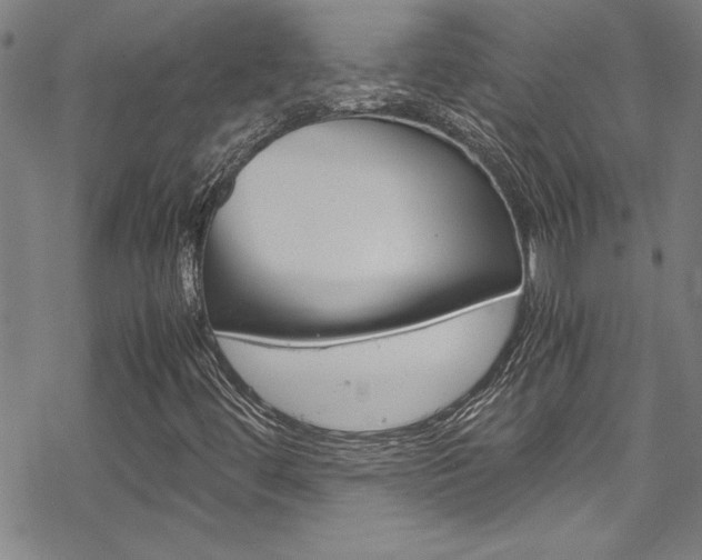 X0000069391444200605120931