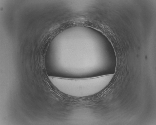 X0000069391445200605120931