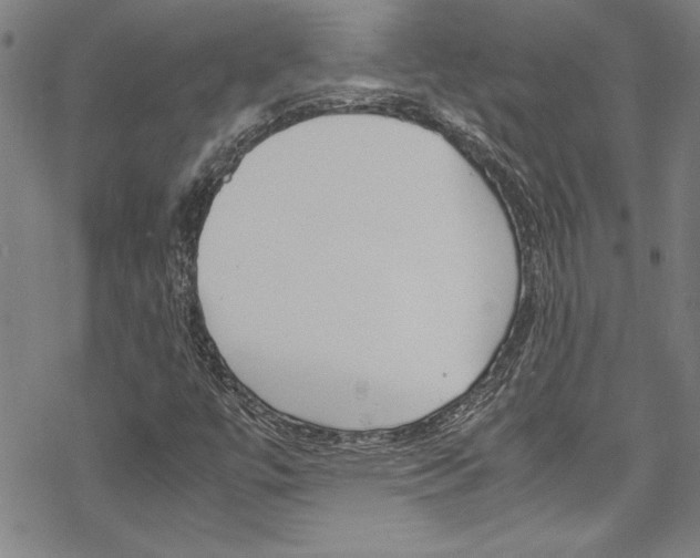 X0000069391447200605120931