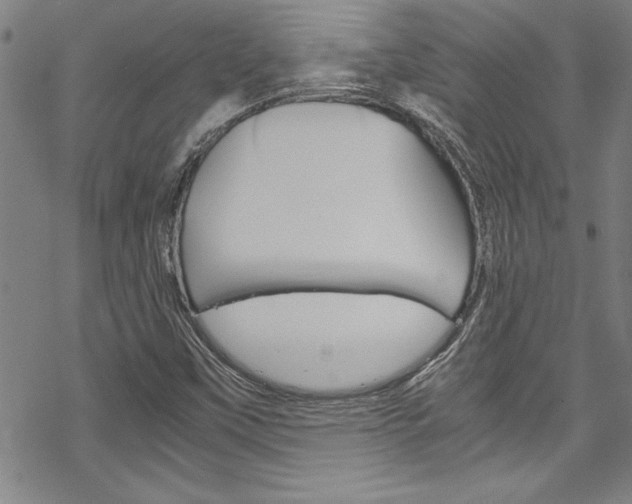 X0000069391451200605120931