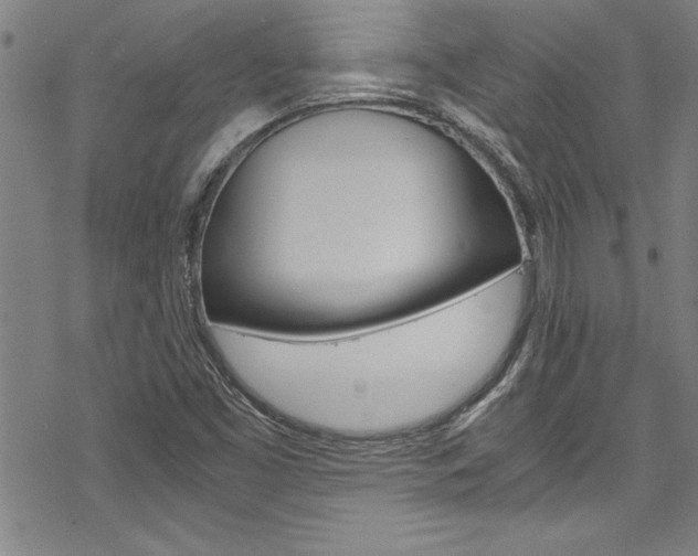 X0000069391453200605120931