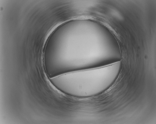 X0000069391484200605120930