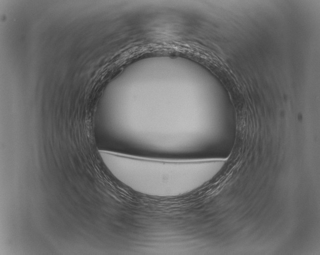 X0000069391490200605120930
