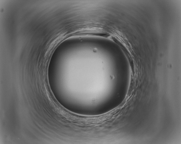 X0000069390001200605121223