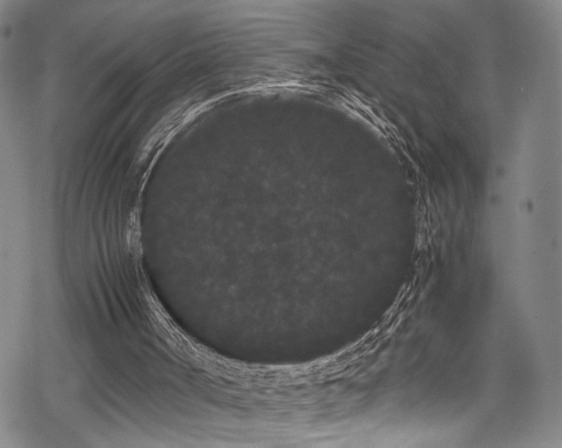 X0000069390002200605121223