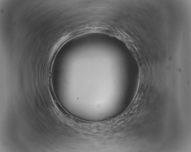 X0000069390003200605121223