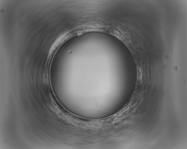 X0000069390004200605121223