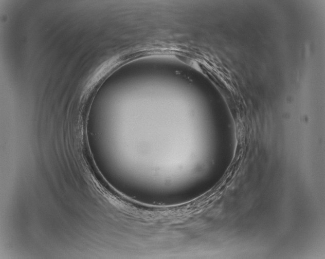 X0000069390005200605121223