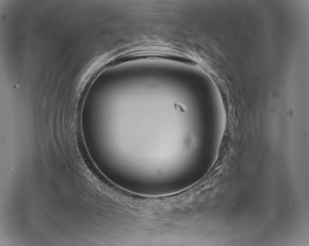 X0000069390007200605121223