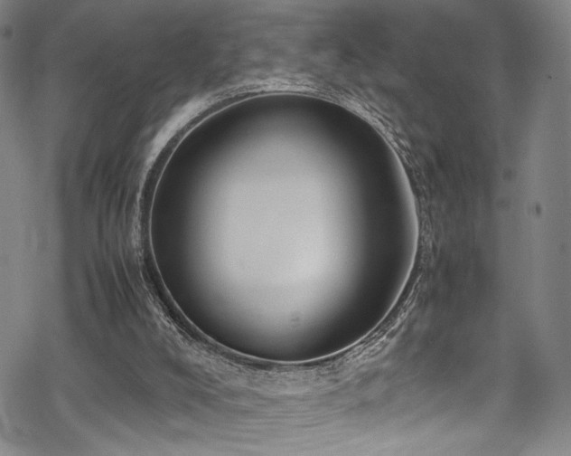 X0000069390008200605121223