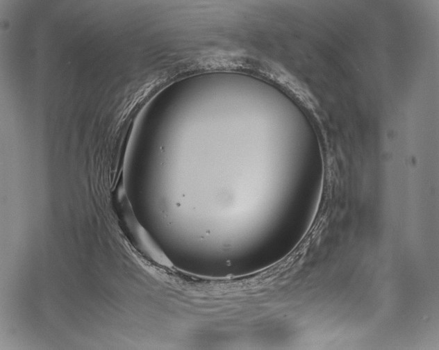 X0000069390009200605121223