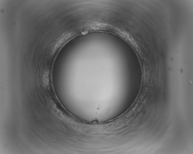 X0000069390010200605121223