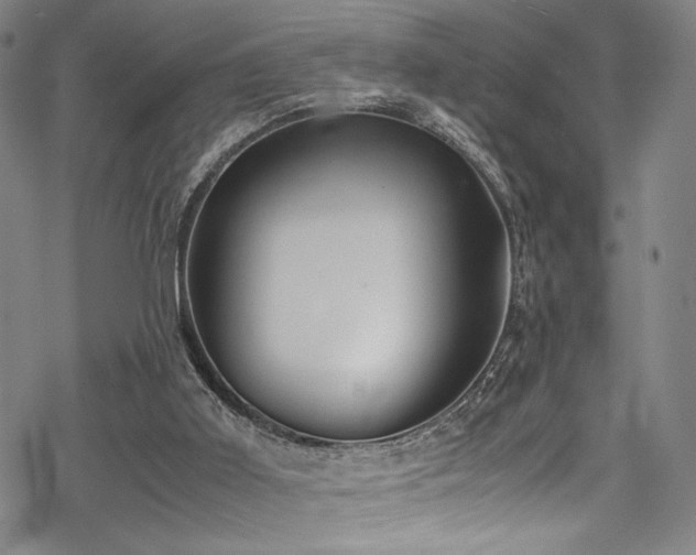 X0000069390011200605121223