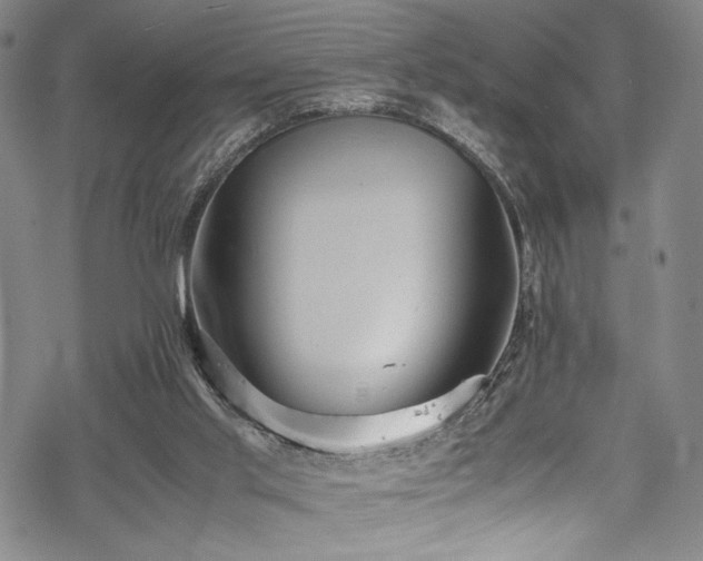 X0000069390013200605121223